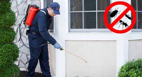 Akdağmadeni Karınca İlaçlama böcek ilaçlama ve haşere kontrolü — ilaclama-tr.com